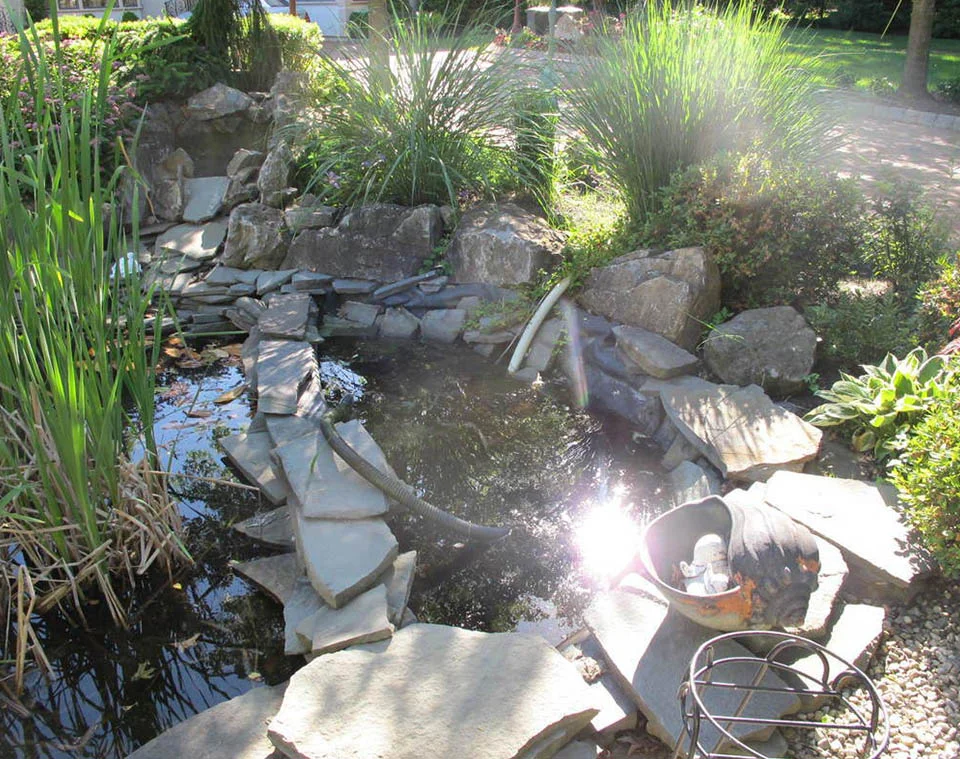 Pond Repair
